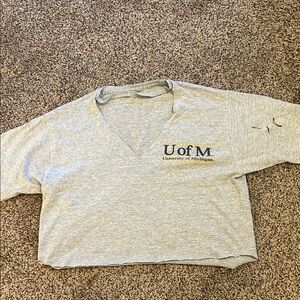 University of Michigan Gray V-Neck Cropped Tee